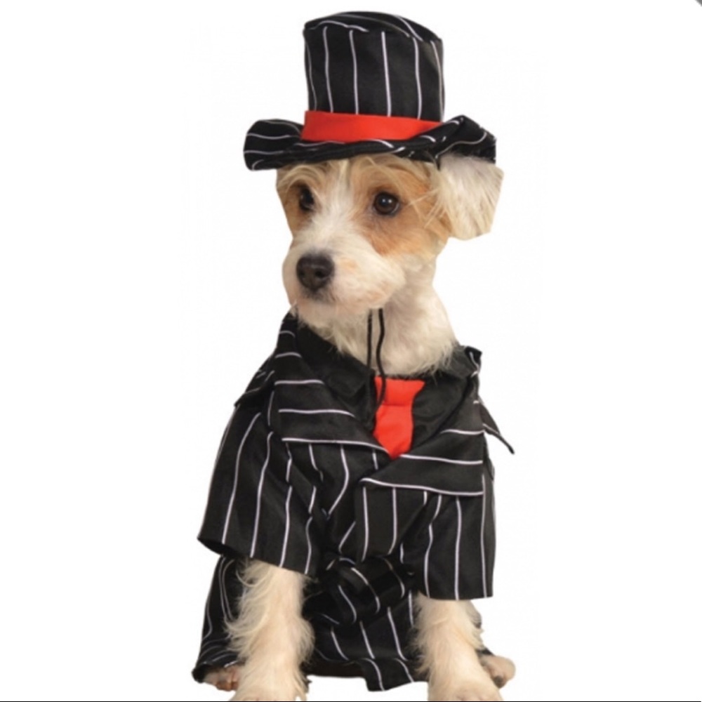 Dog Mob costume